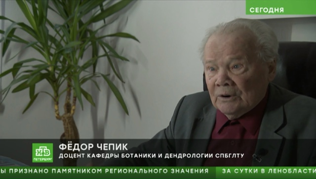 Деревья Петербурга: как учёные СПбГЛТУ помогают городу стать зеленее