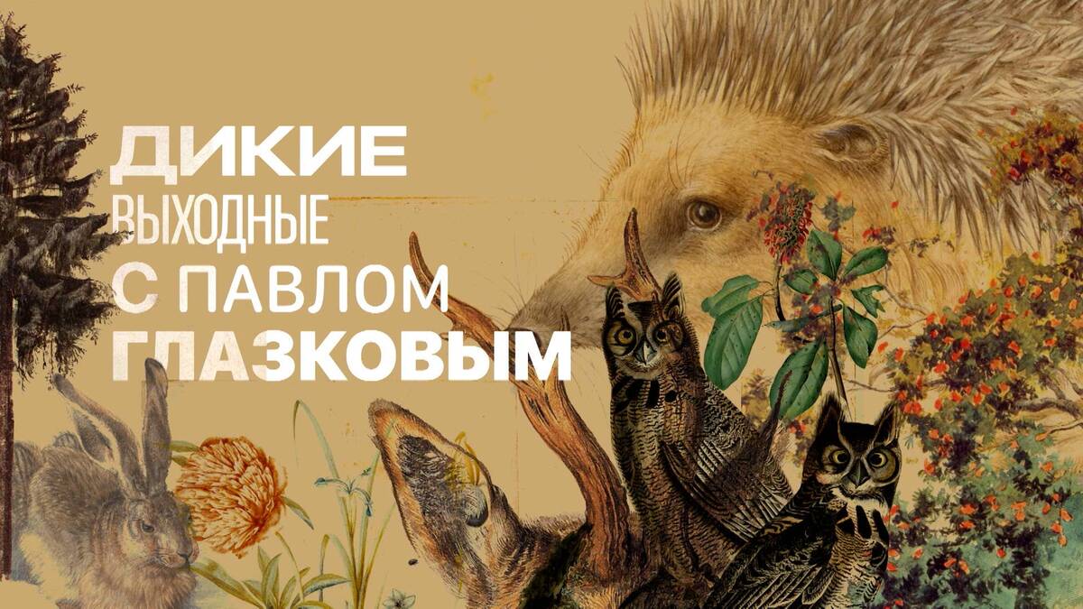 В Лисинском учебно-опытном лесхозе СПбГЛТУ прошли съемки программы «Дикие выходные с Павлом Глазковым»