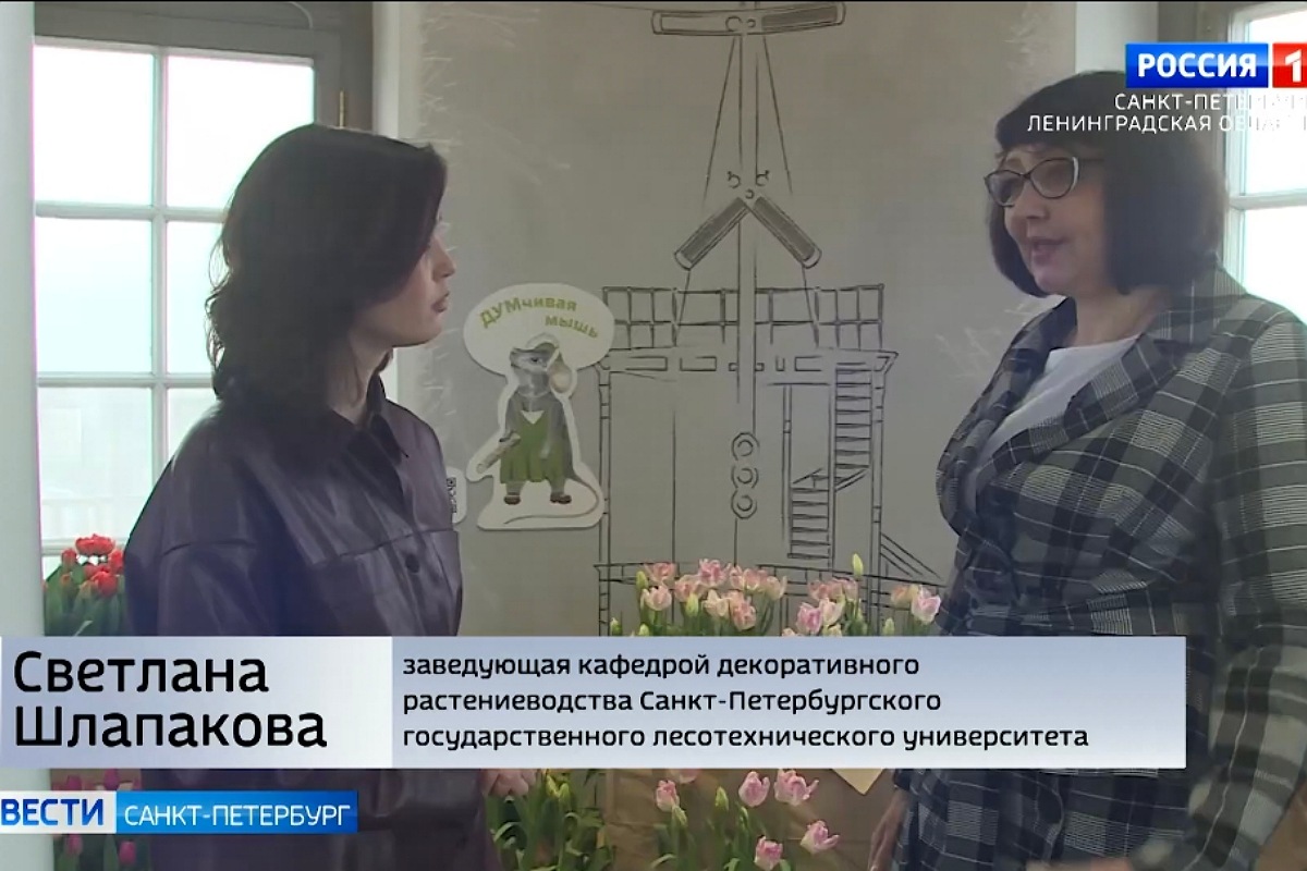 Пять тысяч тюльпанов на Думской башне
