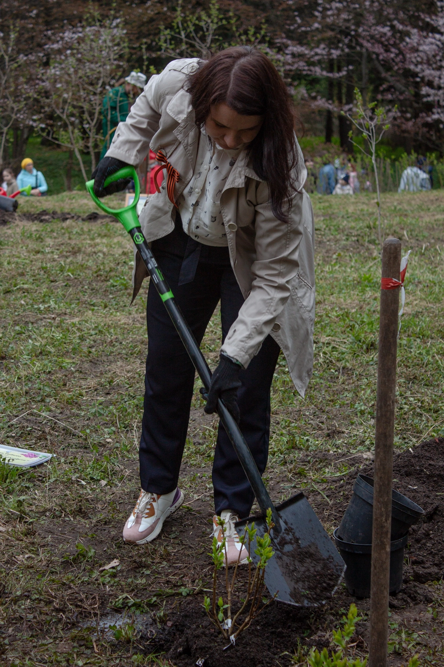 acioy01489.jpg