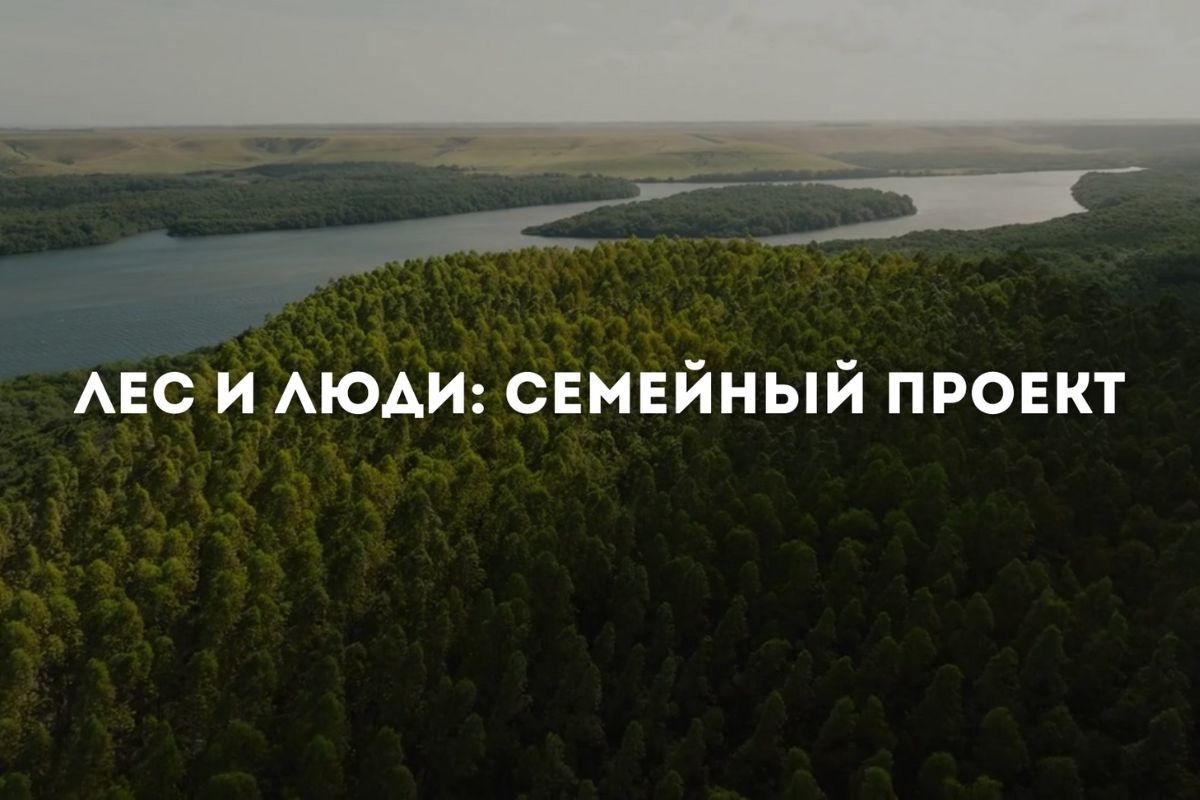 «Лес и люди: семейный проект» в Лесотехническом университете!