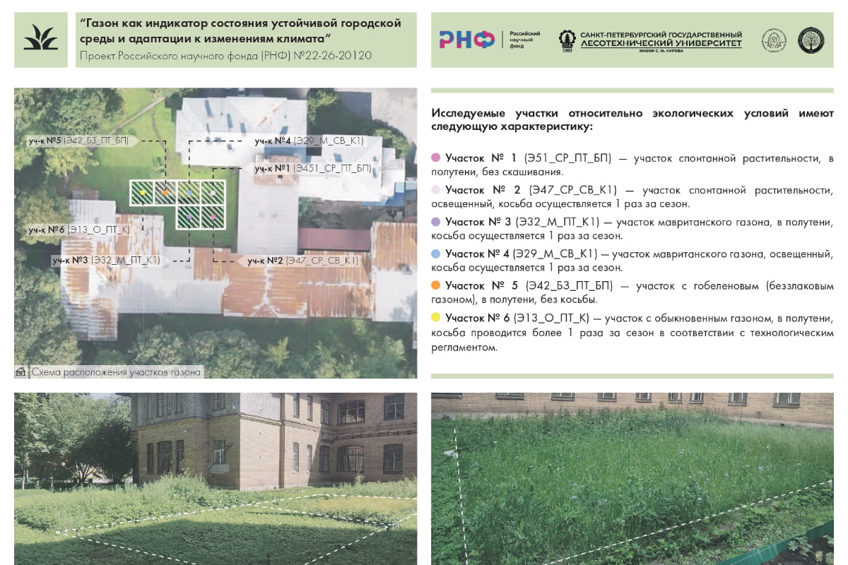 Кафедра декоративного растениеводства СПбГЛТУ представила исследования на международном семинаре в Лейпциге