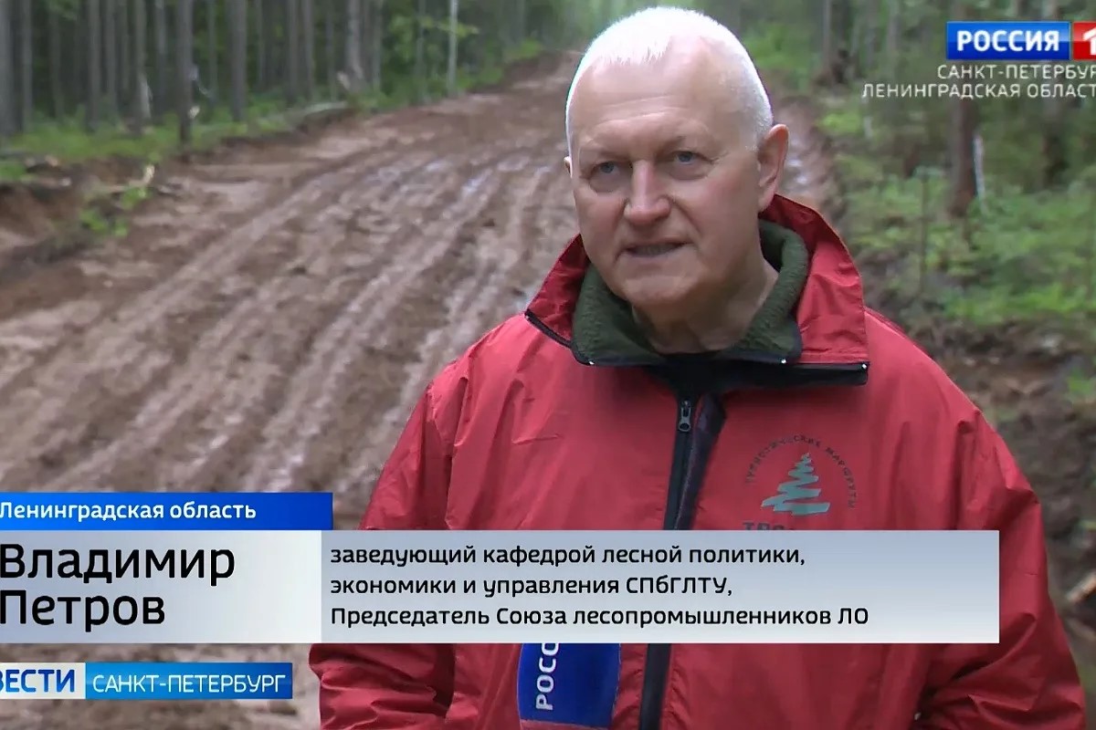 Заведующий кафедрой СПбГЛТУ прокомментировал в эфире «Вестей» состояние лесной инфраструктуры