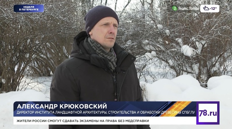 Директор ИЛАСиОД СПбГЛТУ выступил экспертом в репортаже о проблемах зимней уборки