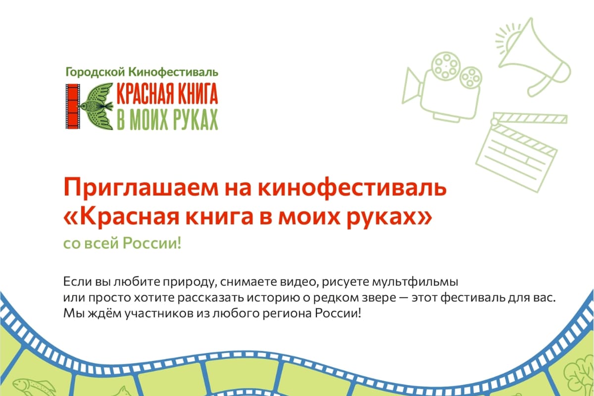Студенты СПбГЛТУ создают анимацию для экологических фильмов