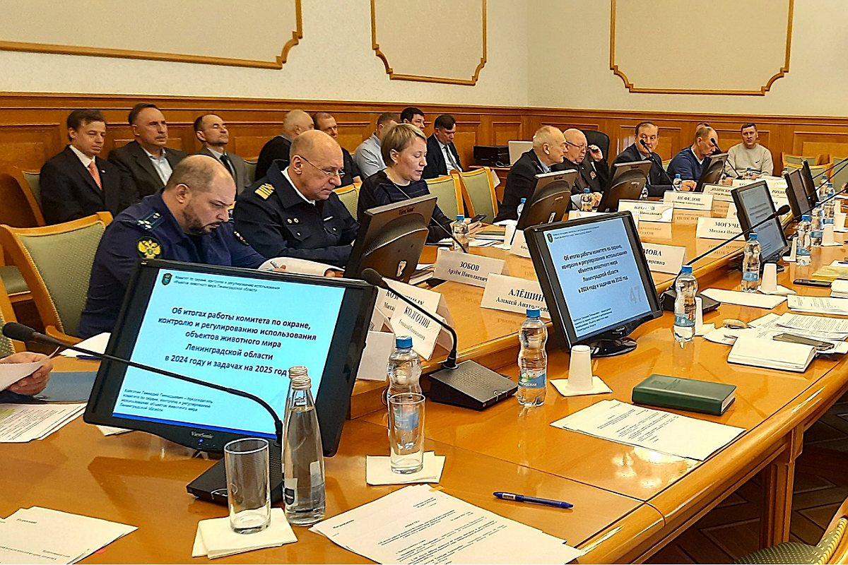 Представитель СПбГЛТУ на отчетной коллегии Комитета по охране животного мира ЛО