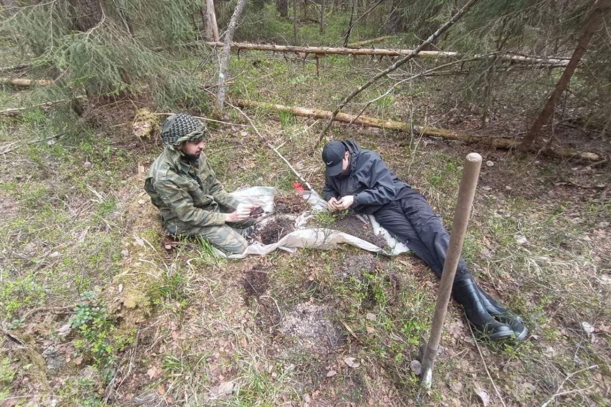 Полевой сезон кафедры почвоведения СПбГЛТУ