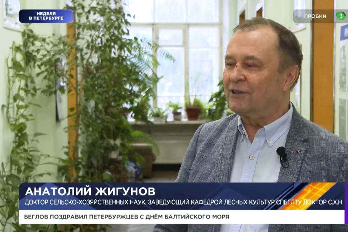 Осторожно: чудо-растения из интернета — как не попасться на удочку мошенников?
