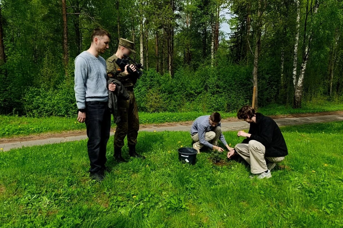 fiknoqruvx.jpg