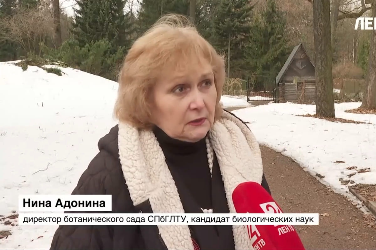 Эксперт СПбГЛТУ о весеннем состоянии парков: бережное отношение — залог восстановления экосистемы