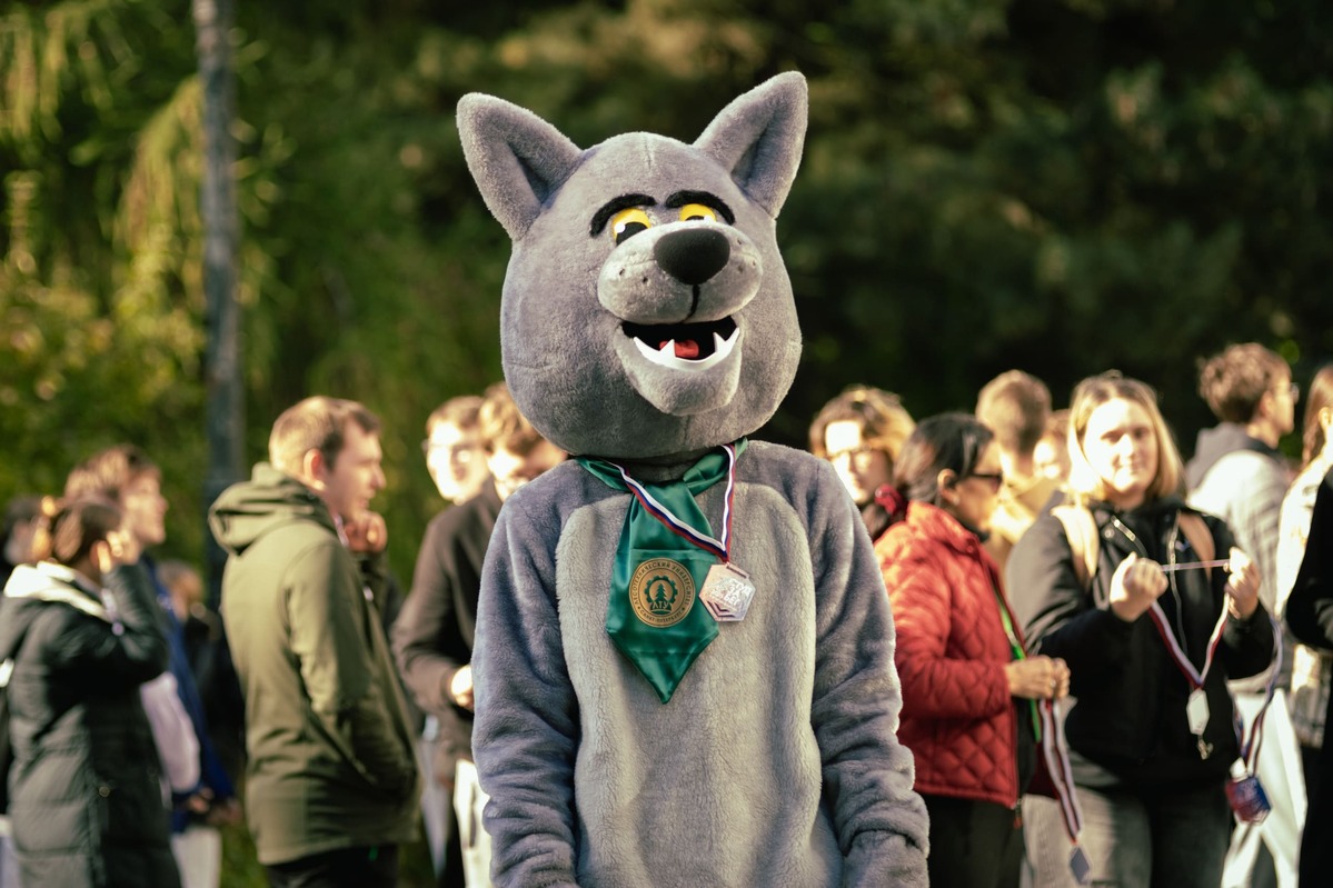 gjkmnxyz47.jpg