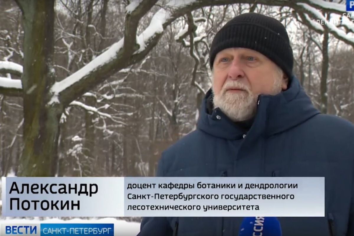 Представители СПбГЛТУ выступили экспертами в репортаже «Россия 1» об изменении климата и морозостойкости растений